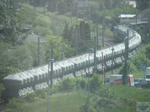 DSCN1005.jpg
