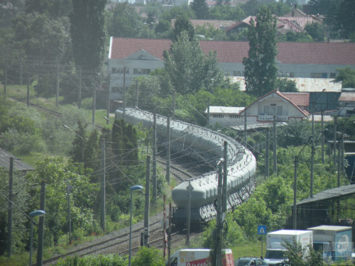 DSCN1007.jpg