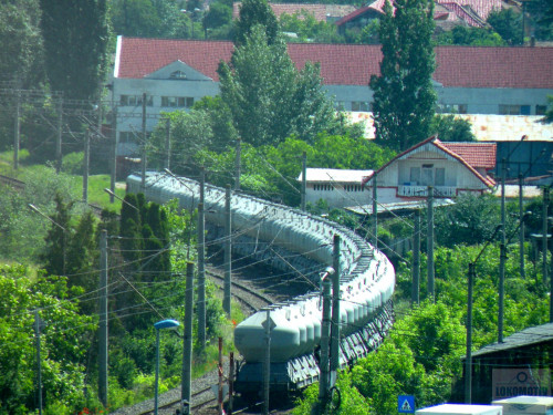 DSCN1007c.jpg
