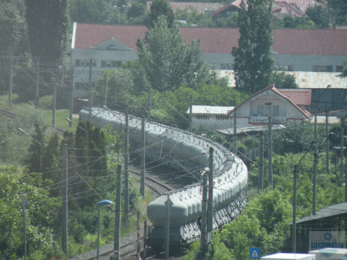 DSCN1007ceb.jpg