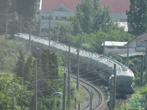 DSCN1008c.jpg