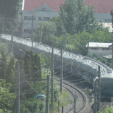 DSCN1008c