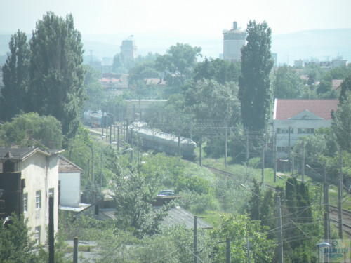 DSCN1013.jpg