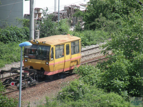 DSCN1021.jpg