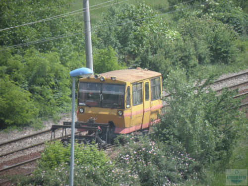 DSCN1022.jpg
