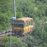 DSCN1022