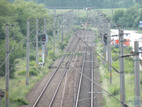 DSCN1099c.jpg