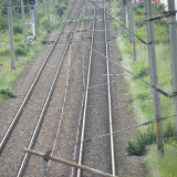 DSCN1100