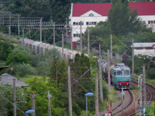 DSCN1204c.jpg