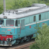 DSCN1206c