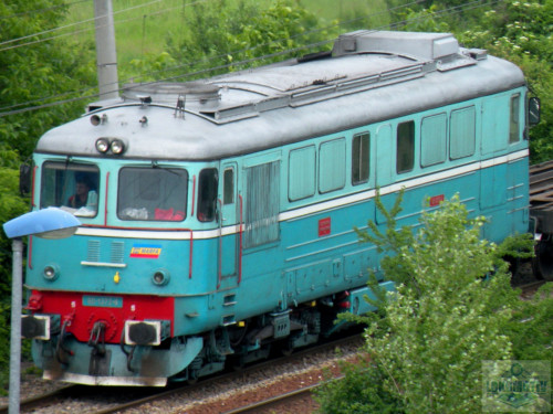 DSCN1206ec.jpg