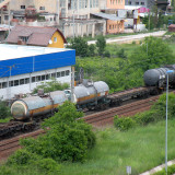 DSCN1208b