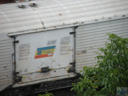 DSCN1213.jpg