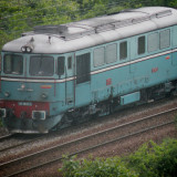 DSCN1220