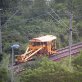 DSCN1245a