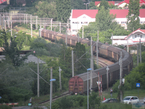 DSCN1361.jpg
