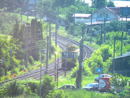 DSCN1440c.jpg