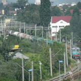 DSCN1462c