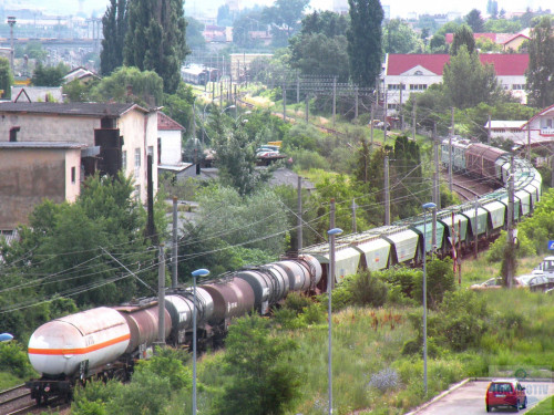 DSCN1587cm.jpg