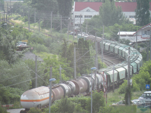DSCN1588c.jpg