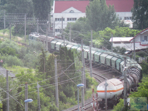 DSCN1589ca.jpg