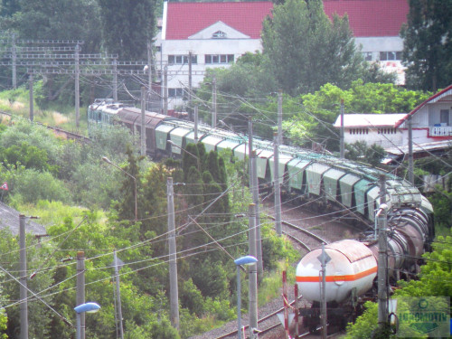 DSCN1589cm.jpg