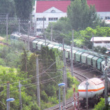DSCN1589cm