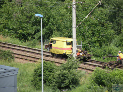DSCN1593.jpg