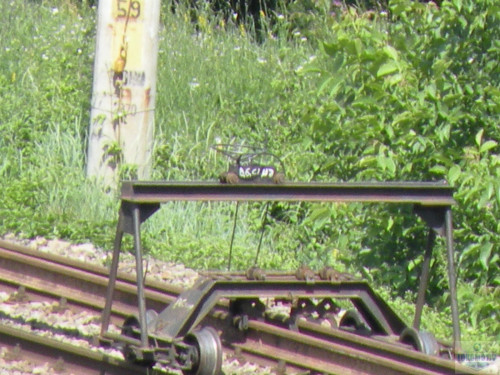DSCN1598.jpg