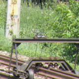 DSCN1598