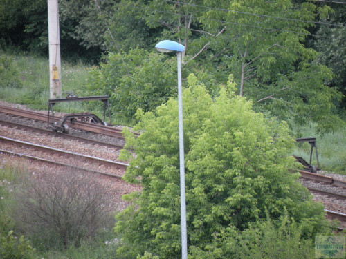 DSCN1610.jpg