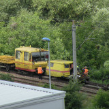 DSCN1618c