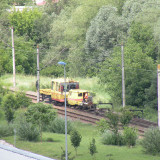 DSCN1629c
