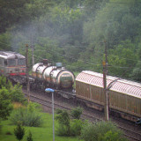 DSCN1655e