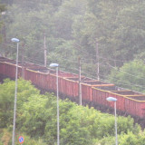 DSCN1659c