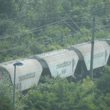 DSCN2146