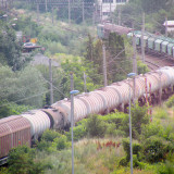 DSCN2231ec