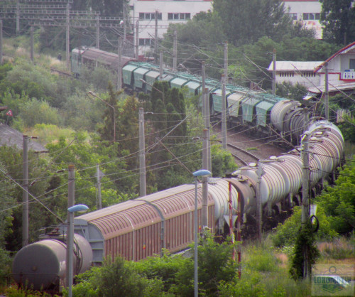 DSCN2232ec.jpg