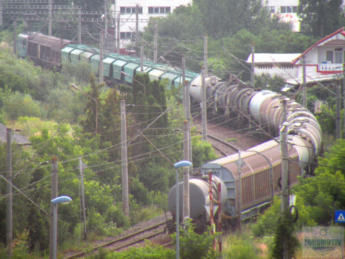 DSCN2233ec.jpg