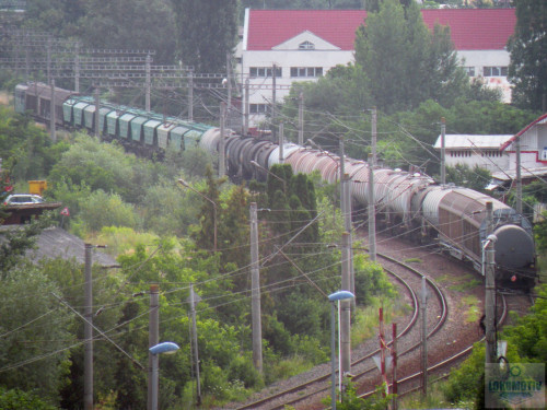 DSCN2235ec.jpg