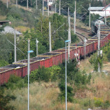 DSCN3036e