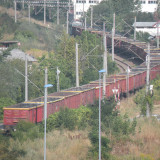DSCN3039