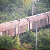DSCN3049e