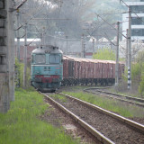 DSCN3111