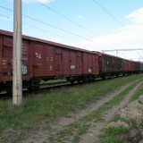DSCN3116
