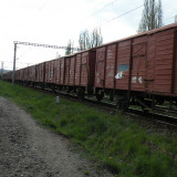 DSCN3117