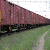DSCN3118