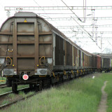 DSCN3124