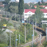 DSCN3537