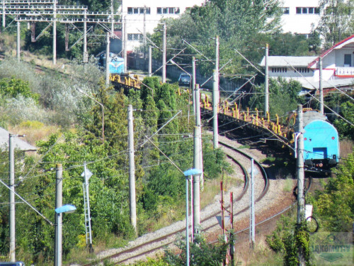 DSCN3537ec.jpg